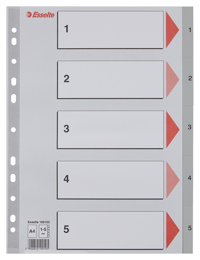 Esselte Register PP A4 1-5 szary