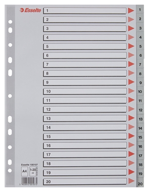 Esselte Rejestr PP A4 1-20 szary.