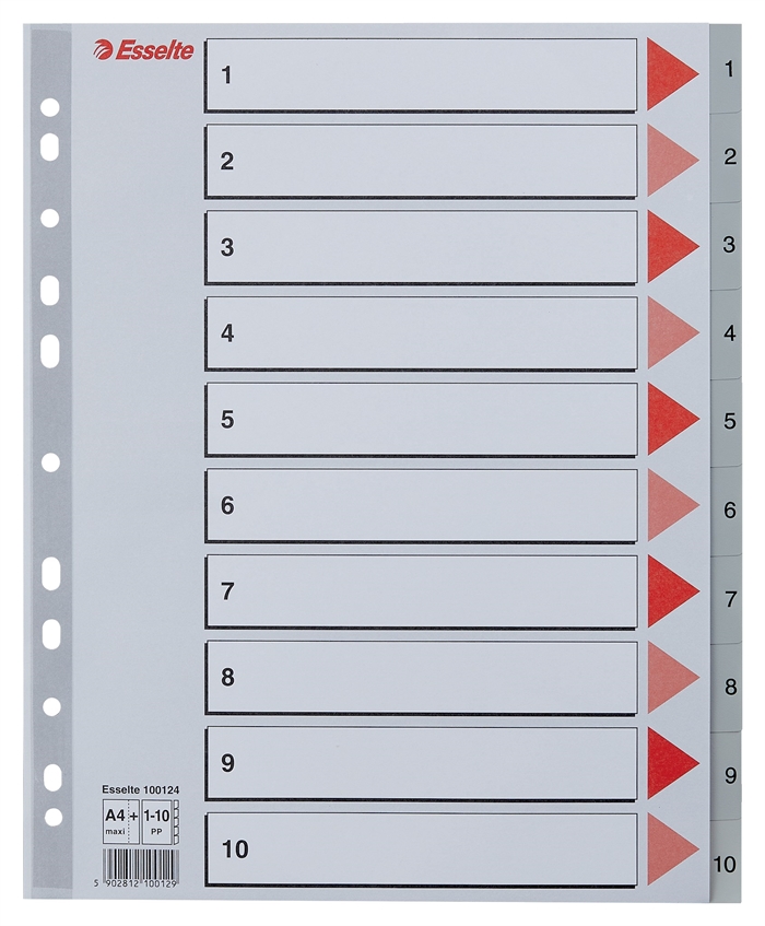 Esselte Register PP A4 maxi 1-10 szary