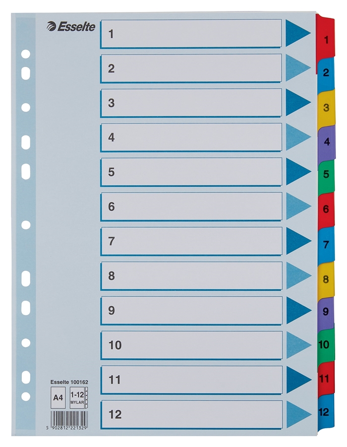 Esselte Register Mylar karton A4 1-12

Rejestr Esselte na kartonie Mylar A4 1-12