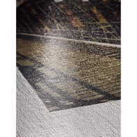 Hahnemühle Canvas Metallic 350 g/m² - 17" x 12 metrów
