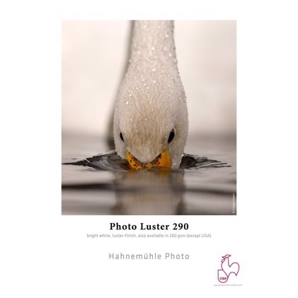 Hahnemühle Photo Luster 290 g/m² - 24" x 30 metrów