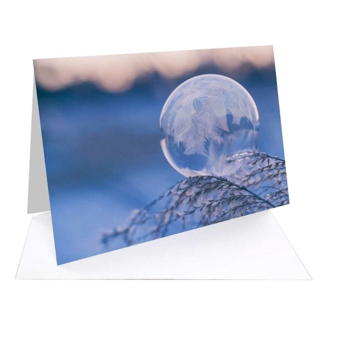 Fotospeed Natural Textured Bright White 315 g/m² - FOTOCARDS A5, 20 ark

Fotospeed Natural Textured Bright White 315 g/m² - KARTKI FOTOGRAFICZNE A5, 20 arkuszy